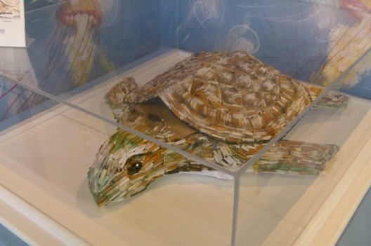 turtle model